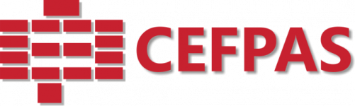 Elearning5 CEFPAS.IT